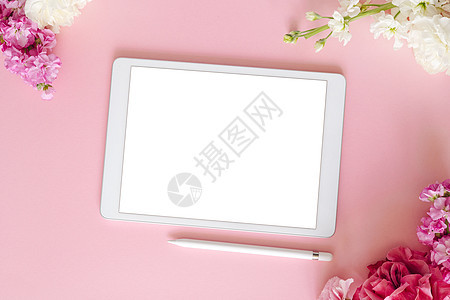 带白色屏幕的 iPad pro 平板电脑 粉红色背景 带笔和鲜花 平躺 办公室背景笔记本桌子互联网展示铅笔绘画工作监视器商业工具图片