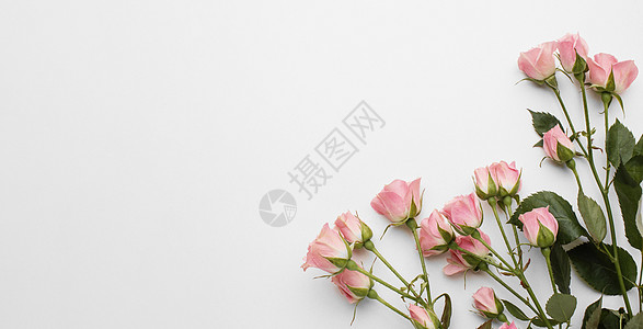 粉色浪漫邀请函复制空间玫瑰 高品质美丽的照片概念背景