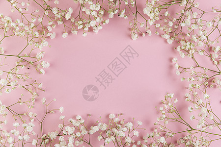 在粉红色背景下用新鲜的白色满天星花书写文本的空白空间 高品质美丽的照片概念图片