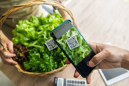顾客从水培农场购买有机蔬菜 并在食品市场商店使用二维码扫描系统付款 技术和未来业务 电子钱包和数字无现金概念电话代码小贩销售展示图片