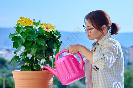 成年妇女用水罐把花浇在锅里喷壶住房生长绿化植物学花园花店园丁闲暇爱好背景图片