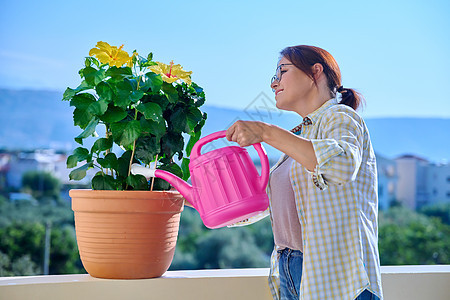 成年妇女用水罐把花浇在锅里生长生态阳台花店房子花盆植物植物学关爱园林图片