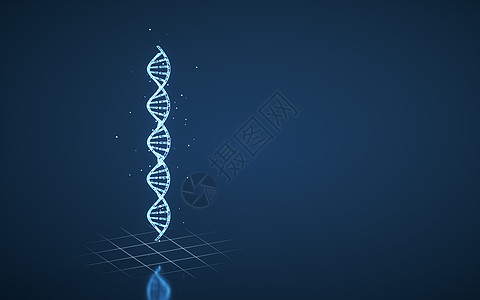 DNA 和染色体 基因和遗传 3d 渲染实验室插图化学螺旋研究蓝色药品科学健康粒子图片