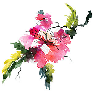 水彩花花植物绘画枝条树叶草图叶子花瓣背景图片