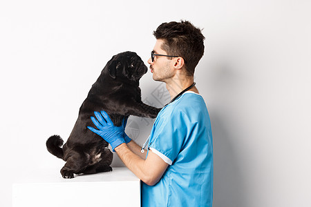 英俊的兽医医生 在兽医诊所检查可爱的黑小狗 站在白种人面上男人桌子卫生保健宠物考试动物工作疫苗犬类图片