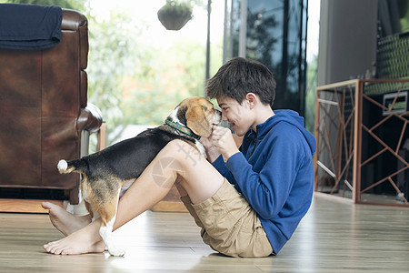 在家玩宠物狗的孩子猎犬朋友们宠物爪子孩子们童年友谊拥抱乐趣客厅图片