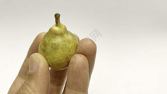 紧紧手握着有机小梨叶子小吃食物青梨饮食工作室营养水果团体宏观图片
