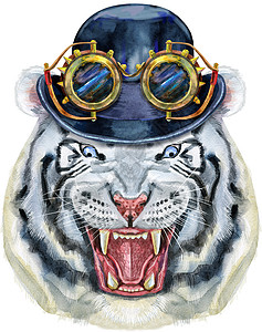 手绘老虎 水彩画白虎 headblue 眼睛与礼帽和蒸汽朋克眼镜图片