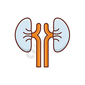 肾科学健康医疗医院肾脏输尿管疾病药品生物学泌尿科图片