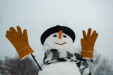 围巾和帽子的雪人 雪人祝你圣诞快乐 节日快乐 雪林中的雪人 快乐有趣的雪人在雪地里 圣诞节销售折扣图片