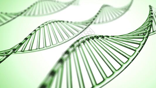 抽象背景 带 X 染色体的 DNA 分子技术医疗基因细胞白色螺旋绿色生活药品遗传图片