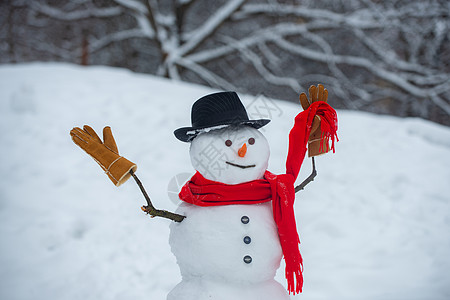 雪林中的雪人 雪人祝你圣诞快乐 节日快乐 雪人和雪天 与雪花和雪人的冬天背景 圣诞快乐和新年快乐图片