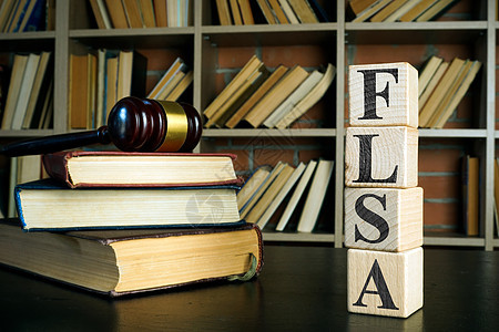 与FLSA或 公平劳动标准法 有关的书籍 小板和立方体图片
