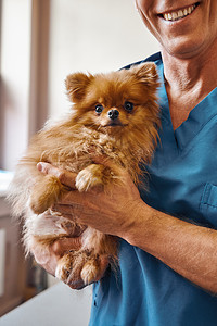 检查前 站在兽医诊所时 开朗的男兽医抱着一只眼睛害怕的可爱小狗 宠物护理理念图片