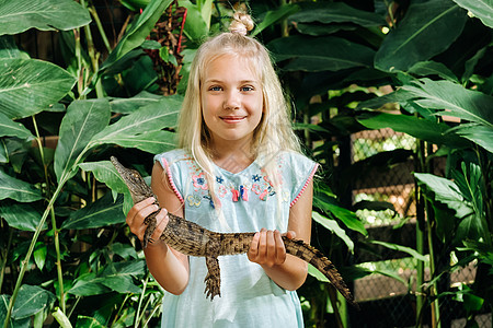 毛里求斯岛上一个快乐的小女孩和一条鳄鱼的夏日肖像 动物园里的女孩怀里抱着一条鳄鱼微笑女性家庭喜悦闲暇孩子假期自由童年乐趣图片