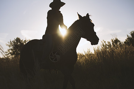 骑马的妇女的休眠日落或日出 水平场地女性骑师牧场骑士动物马背跑步女孩太阳图片