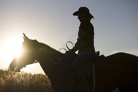 骑马的妇女的休眠日落或日出 水平牧场女性马背牛仔天空骑士骑师太阳动物女孩图片