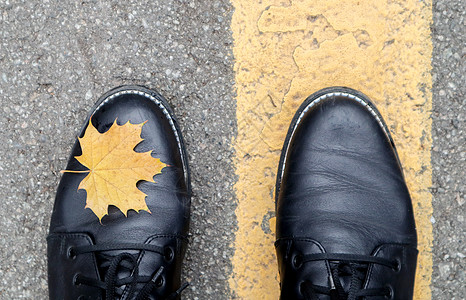 黄色路标旁边的黄色枫叶秋叶和公园里穿黑色靴子的女孩的腿的美丽组合 秋天的概念 美丽的背景与复制空间沥青树叶叶子季节运动鞋街道树木图片