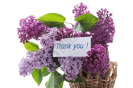 白色背景的篮子中各种盛开的春花花束紫色明信片礼物紫丁香衬套生日婚礼花艺乡村卡片图片