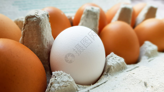 鸡蛋箱里生鸡蛋的近视团体纸盒包装食物饮食蛋壳椭圆形纸板营养蛋盒图片