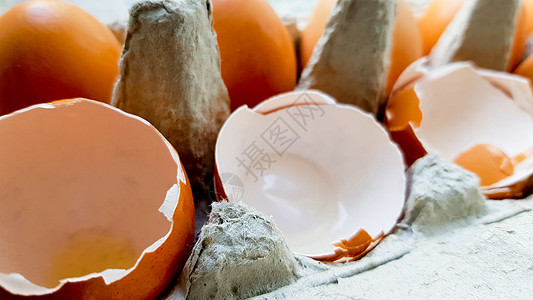 在我厨房的柜子上 蛋壳在盘子上食品早餐团体蛋黄农场动物烹饪煮沸纸板食物图片
