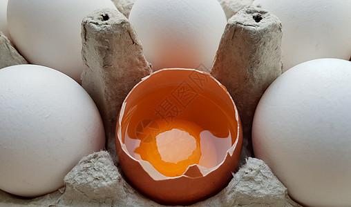 鸡蛋被其他蛋分解了一半 在纸盘中缝合以储存烹饪蛋壳蛋黄食物托盘饮食团体母鸡动物早餐图片