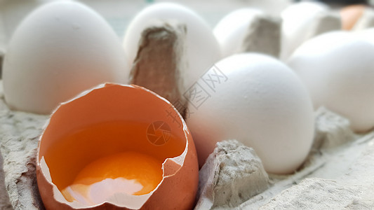 鸡蛋被其他蛋分解了一半 在纸盘中缝合以储存农场饮食蛋黄团体蛋壳动物托盘烹饪纸板纸盒图片