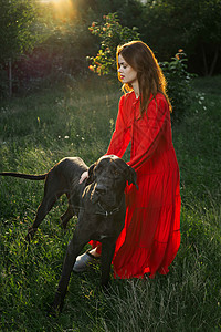 女人穿着红礼服 在田里和黑狗玩女性宠物动物友谊微笑拥抱朋友村庄裙子花园图片