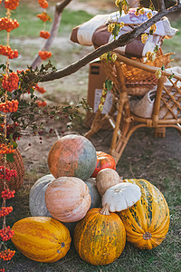 木制背景的南瓜和秋叶装饰图片