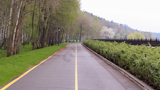 清空沥青路 在公路表面一条黄线 供夏季公园的单行道使用树木森林交通城市赛道曲线太阳街道天空自由图片