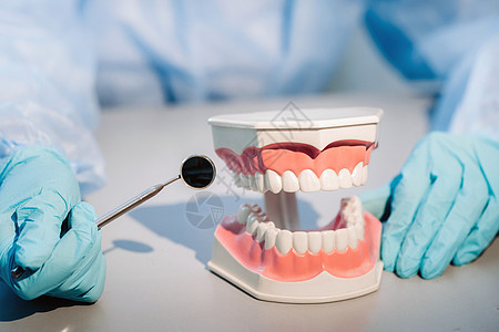 戴蓝色手套和面具的牙医拿着上下颌的牙科模型和牙镜卫生牙桥矫正牙科技师牙齿镜子技术员老年假牙塑料图片