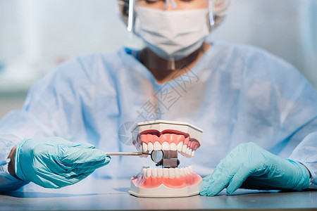 戴蓝色手套和面具的牙医拿着上下颌的牙科模型和牙镜药品治疗假牙矫正保险技术医生女士镜子牙桥图片