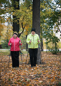 两名老年妇女参与了斯堪的纳维亚人在公园树中间的树叶上散步图片