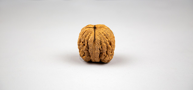 具有复制空间的外壳灰色背景 Nut Micro 概念坚果设计作品剪裁收藏宏观核心水果收成小路图片