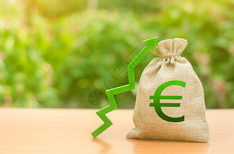 与欧元符号和绿色向上箭头的钱袋子 增加利润和财富 工资的增长 有利的商业条件 招商引资 贷款和补贴 有利条件背景图片