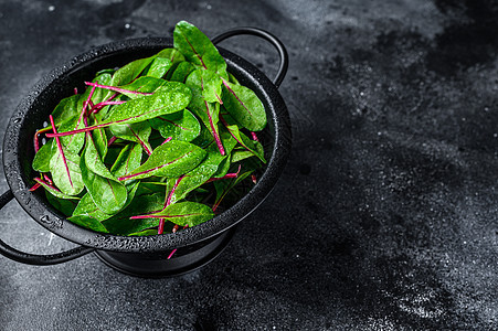 黑背景 顶视图 复制空格 Cloander 中的新绿色树叶草本植物收成食物植物营养生物农业蔬菜叶子紫色图片