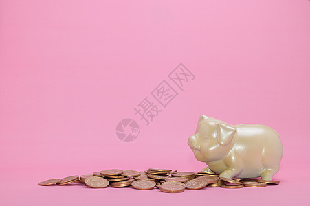 支付宝个人征信查询_征信查询支付宝个人账户_征信查询支付宝