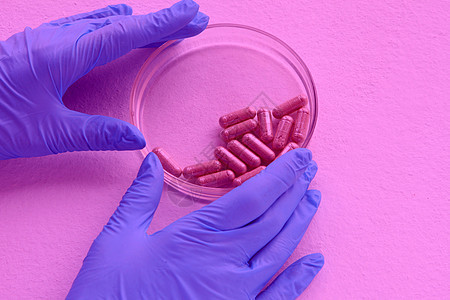 蓝色发光的化学家在实验室 用玻璃板测试 实验室玻璃上的有机药丸用于医学测试 从姜的草本胶囊在白色背景治疗草本植物生态药品止痛药宏图片