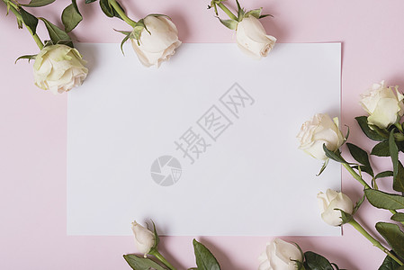 粉红背景的美丽玫瑰花白纸图片