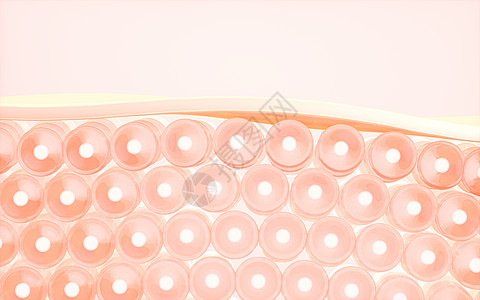 细胞和 skin3d 渲染维修奶油治疗化妆品医疗产品真皮血清皱纹解剖学图片