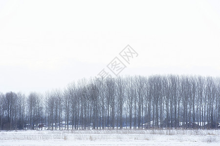 荷兰日落时分美丽的冬季风景 雾雪覆盖着农田和河流 大自然中美丽的色彩农村太阳晴天海滩地平线阳光季节蓝色橙子天空图片