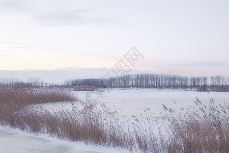 荷兰日落时分美丽的冬季风景 雾雪覆盖着农田和河流 大自然中美丽的色彩场地阳光天气冻结地平线季节农村晴天蓝色太阳图片