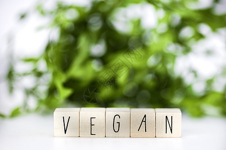Vegan概念和素食主义生活方式 Vegan关于白色背景的文本 用复制空间食用绿色生物天然食物生物学水果上诉农场气球艺术植物学蔬图片