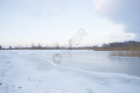 荷兰日落时分美丽的冬季风景 雾雪覆盖着农田和河流 大自然中美丽的色彩阳光季节场景地平线天气橙子冻结农村蓝色晴天图片