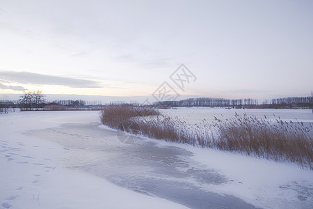 荷兰日落时分美丽的冬季风景 雾雪覆盖着农田和河流 大自然中美丽的色彩地平线天空季节农村海滩蓝色天气场景阳光晴天图片