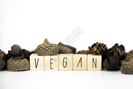 Vegan概念和素食主义生活方式 Vegan关于白色背景的文本 用复制空间食用绿色生物天然食物植物学农场艺术农业蔬菜气球生物学上图片