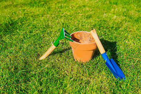 鲜绿色绿草背景纹理 花园 春季 hobby 装填概念空间的蓝铲花锅空图片