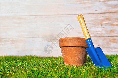带蓝色铲子的花盆在新鲜的绿草中空着 有木质背景质感 花园 春天 爱好 盆栽概念复制空间图片