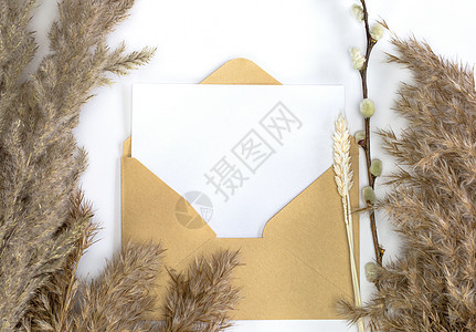 带芦苇花艺信封的简约卡片模型空白白纸卡和信封 用于复制 spac桌子装饰风格艺术嘲笑湿气小样工艺身份商业图片