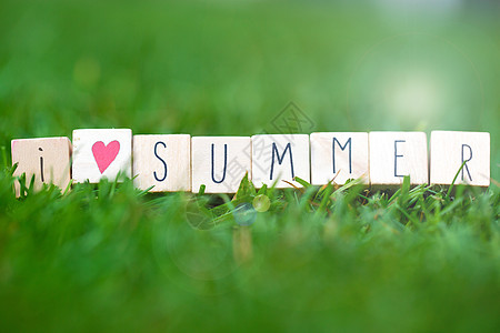 以我所爱的夏日之词 在明亮的春青绿草丛中 用白色的黛西和阳光 夏天的背景立方体字母横幅乡村乐趣木头艺术季节卡片假期图片